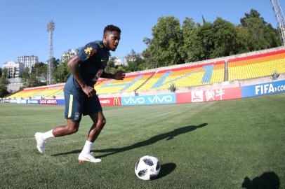 seleção brasileira, fred