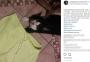 Instagram é criado para devolver peças furtadas por gato ladrão