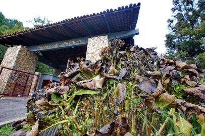  CANELA, RS, BRASIL, 21.06.2018. Parque do Palácio das Hortênsias. A Prefeitura de Canela quer entregar a administração do local à iniciativa privada. Isso está causando polêmica na cidade. Foto: Lauro Alves/Agência RBS