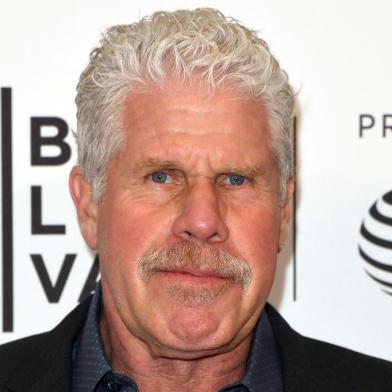 To Dust - Tribeca Film Festical 2018Ron Perlman attends a screening of To Dust during the 2018 Tribeca Film Festival at SVA Theatre on April 22, 2018 in New York City. / AFP PHOTO / ANGELA WEISSEditoria: ACELocal: New YorkIndexador: ANGELA WEISSSecao: cinemaFonte: AFPFotógrafo: STF