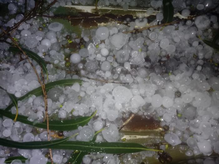 Chuva De Granizo Causa Estragos Em Muitos Capoes Na Serra Gzh