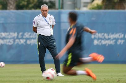 zol - tite - técnico - treinador - seleção brasileira - brasil - copa do mundo