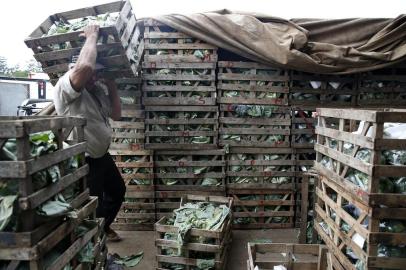  PORTO ALEGRE, RS, BRASIL - 2018.05.31 - Ceasa volta a receber produtos, após greve dos caminhoneiros afetar a distribuição de comida. (Foto: ANDRÉ ÁVILA/ Agência RBS)