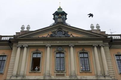 SWEDEN-NOBEL-LITERATUREA bird flies from the rooftop of the on October 7, 2010. Peruvian-Spanish author Mario Vargas Llosa won the 2010 Nobel Literature Prize on Thursday, the Swedish Academy said.   The 74-year-old author, a one-time presidential candidate, is best known for works such as Conversation in the Cathedral and The Feast of the Goat but is also a prolific journalist.  AFP PHOTO / JONATHAN NACKSTRANDEditoria: ACELocal: StockholmIndexador: JONATHAN NACKSTRANDSecao: LITERATUREFonte: AFPFotógrafo: STR