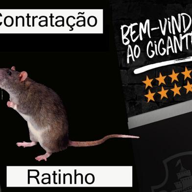 rato