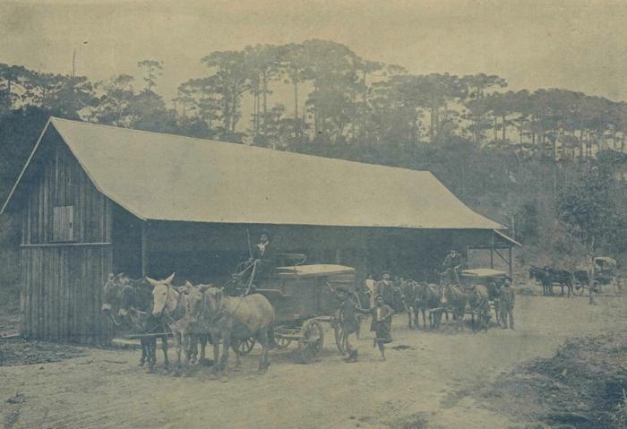 Acervo Arquivo Histórico Municipal João Spadari Adami / reprodução