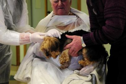  CAXIAS DO SUL, RS, BRASIL, 25/07/2018 - Hospital da Unimed promove o Dia do Desejo. É um momento em que pacientes mais debilitados tem um desejo atendido. NA FOTO: João Zini, 87 anos, pediu para ver o cachorrinho Thor. (Marcelo Casagrande/Agência RBS)