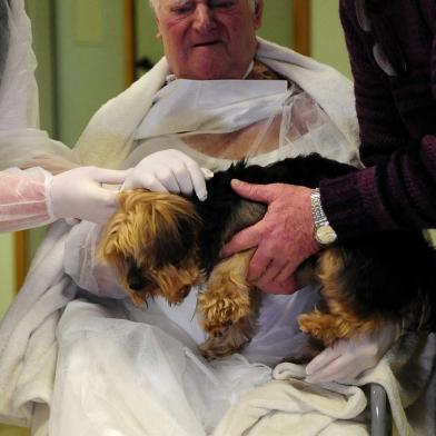  CAXIAS DO SUL, RS, BRASIL, 25/07/2018 - Hospital da Unimed promove o Dia do Desejo. É um momento em que pacientes mais debilitados tem um desejo atendido. NA FOTO: João Zini, 87 anos, pediu para ver o cachorrinho Thor. (Marcelo Casagrande/Agência RBS)