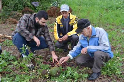 Em expedições pelo Rio Grande do Sul, o chef Rodrigo Bellora se propõe a vivenciar a realidade produtiva e conhecer a fundo os produtos da agrofloresta que compõe o seu repertório no Valle Rustico. Como resultado de uma experiência com famílias extrativistas de pinhão dos Campos de Cima da Serra, ele promove, na próxima quarta, dia 01 de agosto, o jantar ¿Cozinha de Natureza, um Novo Olhar para o Pinhão¿.