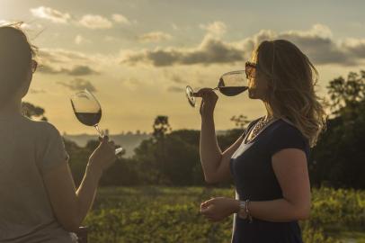 Ação de enoturismo em vinícola da Serra gaúcha.