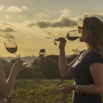 Ação de enoturismo em vinícola da Serra gaúcha.