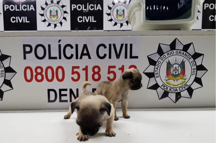 PolÃ­cia Civil/DivulgaÃ§Ã£o