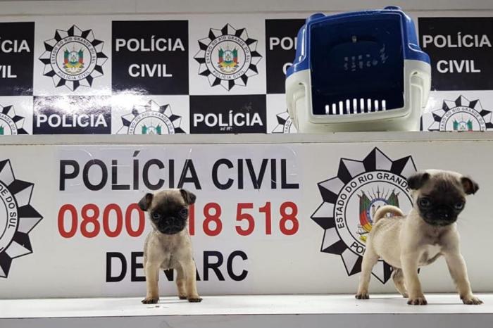 Polícia Civil / Divulgação