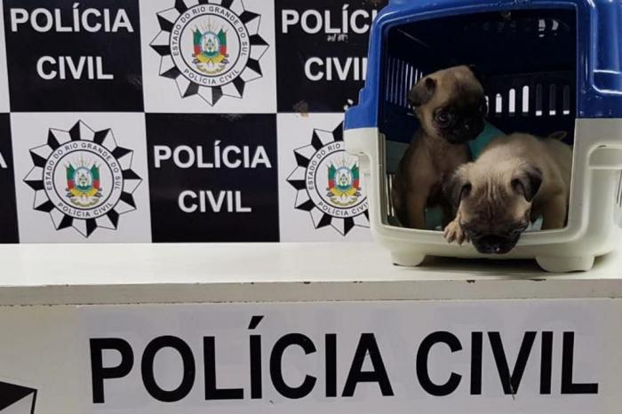 Polícia Civil / Divulgação