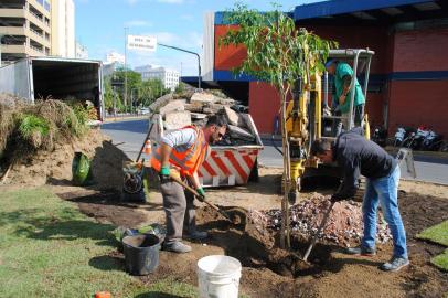 Secretaria Municipal de Meio Ambiente e da Sustentabilidade (Smams), da prefeitura de Porto Alegre, planta 50 árvores no entorno da rodoviária