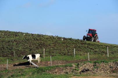  CAXIAS DO SUL, RS, BRASIL 01/08/2018Marta Bolson, proprietária da queijaria Bolson&Camêlo, em Vila Oliva, interior de Caxias. Reportagem sobre o fechamento das agroindústrias devido às exigências e atuação dos fiscais da Secretaria de Agricultura de Caxias do Sul. (Felipe Nyland/Agência RBS)