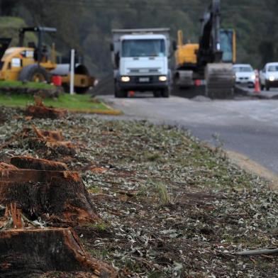  CAXIAS DO SUL, RS, BRASIL 02/08/2018Árvores cortadas nas márgens da rodovia Rota do Sol em Caxias do Sul, próximo ao trevo de acesso a Forqueta. (Felipe Nyland/Agência RBS)