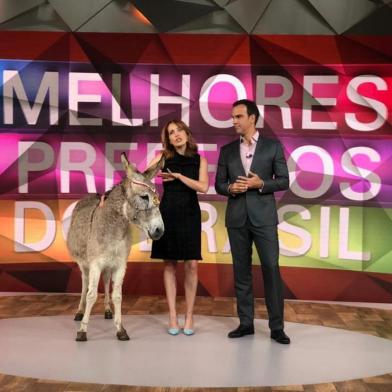 Jumento precioso dentro do estúdio do Fantástico bem na edição de aniversário de 45 anos do Show da Vida, com os apresentadores Tadeu Schmidt e Poliana Abritta.