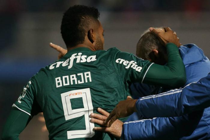 Palmeiras / Divulgação