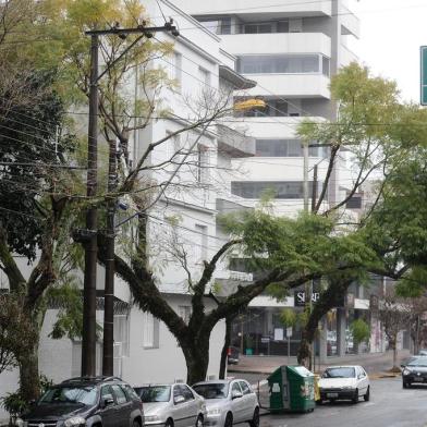  CAXIAS DO SUL, RS, BRASIL, 09/08/2018. Árvores, em especial Jacarandás, têm seu  miolo cortado para a passagem de fios de luz, na Rua Ernesto Alves, entre as ruas Feijó Júnior e Coronel Flores. (Diogo Sallaberry/Agência RBS)