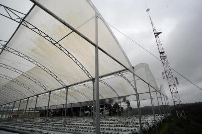  CAXIAS DO SUL, RS, BRASIL 09/08/2018Distritos do interior de Caxias do Sul seguem sem acesso ao serviço de telefonia móvel e tentam se mobilizar para reverter a situação. Em Santa Lúcia do Piaí, proprietários rurais estão investindo na instalação de antenas particulares para contornar a falta de infraestrutura.  (Felipe Nyland/Agência RBS)