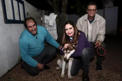 husky siberiano perdido é encontrado por dono de pet shop e devolvido à dona em porto alegre. 