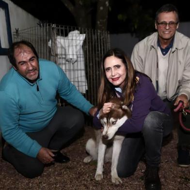 husky siberiano perdido é encontrado por dono de pet shop e devolvido à dona em porto alegre. 