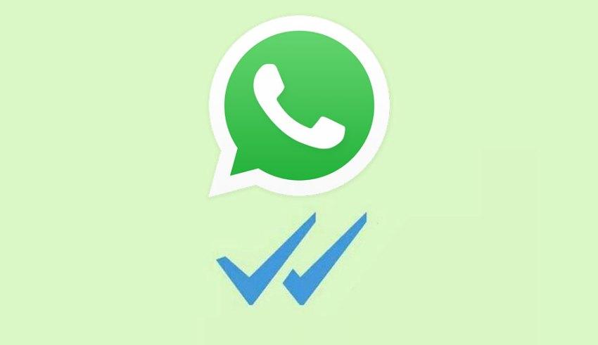 WhatsApp double check - A pessoa leu ou não minha mensagem?