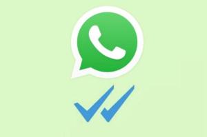 Whatsapp / Reprodução