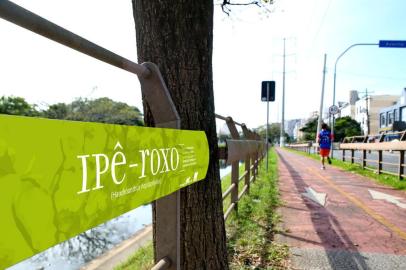 Após polêmica de pichador que rabisca nome de árvores no guarda-corpo da ciclovia da Avenida Ipiranga, agência de publicidade Sistema Dez cria adesivos para identificar os vegetais.