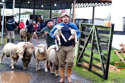 ESTEIO, RS, BRASIL, 20/08/2018 -  Chegada dos primeiros animais na Expointer. Na foto: Kleber Martins, que vem representando 3 cabanas. Ele foi o primeiro a chegar na feira. (FOTOGRAFO: FERNANDO GOMES / AGENCIA RBS)