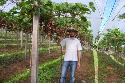 Engenheiro agrônomo Alexandre Frozza. A foto é no distrito de Faria Lemos em Bento Gonçalves na propriedade dos produtores Rubes e Rejane Enderle. A foto foi tirada pelo Eng. Agr. Gilberto Luiz Salvador - ex-colega da Emater/RS.