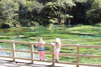 ¿As pequenas Rafaela e Marina contemplam a Blue Spring, verdadeiro rio de água mineral localizado a uma hora de Rotorua, na Nova Zelândia. Praticamente desconhecido do turismo de massa, este lugar único tem a água mais pura do país. A vazão de sua nascente é tão grande que representa incríveis 70% da água mineral engarrafada da na Nova Zelândia.¿Rafaela Basso Fauth e Marina Forgiarini RechDe Santa Cruz do Sul, em março de 2017