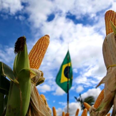  RIO PARDO, RS, BRASIL, 22-03-2018.  Expoagro 2018- Rio Pardo RSMovimento da feira. (FERNANGO GOMES/AGÊNCIA RBS)