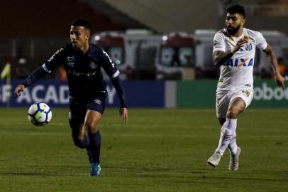 Brasileirao 2018Sao Paulo, SP - 06/09/2018 - Brasileirao 2018 - Santos x Gremio:  Gabriel do Santos e Matheus Henrique do Gremio durante partida valida pela 23a. rodada do Campeonato Brasileiro de 2018 no estadio do Pacaembu, zona oeste da capital.Foto: Rodrigo Gazzanel/RM Sports/LancePress!Editoria: SPOLocal: Sao PauloIndexador: Rodrigo Gazzanel/RM SportsSecao: FutebolFonte: RM SportsFotógrafo: Rodrigo Gazzanel/RM Sports