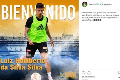 Beto da Silva, Tigres, Grêmio, México