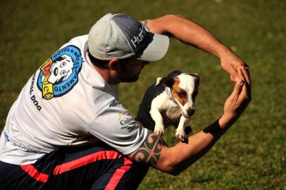  CAXIAS DO SUL, RS, BRASIL, 18/08/2017. Rodrigo Lunardi, proprietário do Hotel e adestramento para cachorros Dogville, fala do mercado pet em Caxias, em entrevista ao caderno Serra+. (Diogo Sallaberry/Agência RBS)