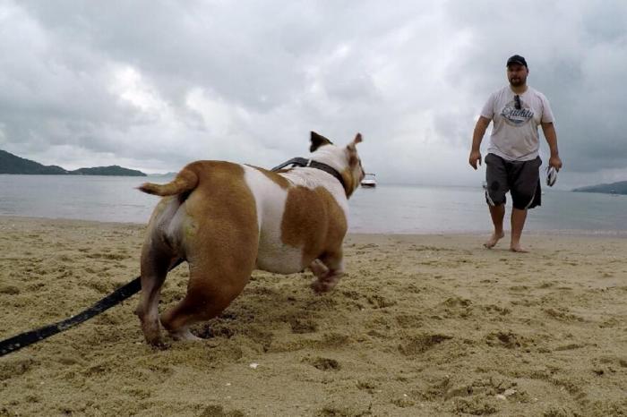 arquivo pessoal / Arquivo Pessoal