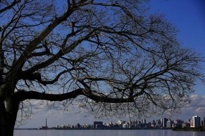 PORTO ALEGRE, RS, BRASIL, 19-09-2018: Ingazeiro na orla do Guaíba, em frente ao Museu Iberê Camargo. Roteiro de árvores nativas em Porto Alegre. (Foto: Mateus Bruxel / Agência RBS)