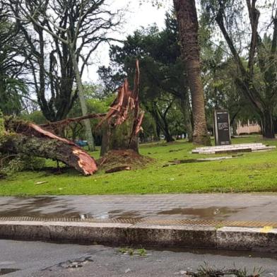 Estragos causados pelo mau tempo em Pelotas.