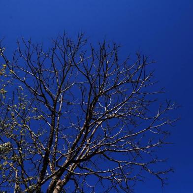  CAXIAS DO SUL, RS, BRASIL, 12/09/2018. Ambiental de clima em Caxias do Sul, na Universidade de Caxias do Sul (UCS) (Diogo Sallaberry/Agência RBS)