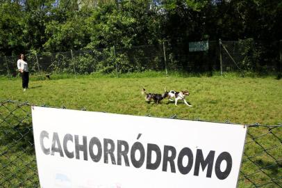  PORTO ALEGRE, RS, BRASIL, 05-10-2018: Cachorródromo do Parque Germânia. No local, um cão da raça pitbull atacou e matou um yorkshire. (Foto: Mateus Bruxel / Agência RBS)