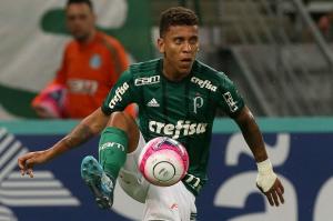 Cesar Greco / Palmeiras/Divulgação