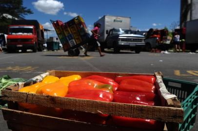  CAXIAS DO SUL, RS, BRASIL, 18/11/2013. Pesquisa da Anvisa aponta que um um terço das frutas, legumes e verduras consumidas pelos brasileiros contam com alguma irregularidade no que diz respeito aos agrotóxicos. Pimentão, cenoura e morango lideram o ranking. (Diogo Sallaberry/Pioneiro)Indexador: Diogo Sallaberry