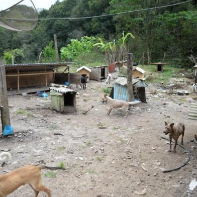 Protetora denuncia maus-tratos a mais de 30 animais em Campestre da Serra