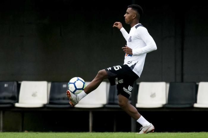 Ivan Storti / Santos FC, Divulgação