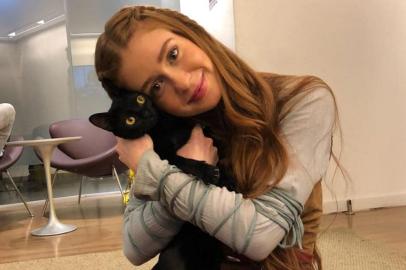 marina ruy barbosa , gato , o sétimo guardião