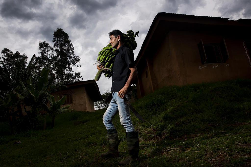 Ninguém quer vir para a festa de 5 anos do meu filho porque ele é vegano',  afirma mãe