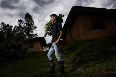 ALPESTRE, RS, BRASIL, 24-09-2018: O permacultor e bioconstrutor Neimar Marcos da Silva, conhecido como Marcos Ninguém, com bananas colhidas na Ecovila Dom José. A Ecovila é um assentamento humano sustentável projetado e executado com base nos princípios de design e na ética da permacultura. As casas no local são bioconstruções, construções onde a preocupação ecológica está presente desde sua concepção até sua ocupação. (Foto: Mateus Bruxel / Agência RBS)