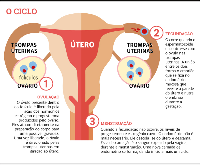 Cólica menstrual fora do ciclo: entenda os motivos